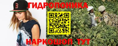 PSILOCYBIN Туймазы