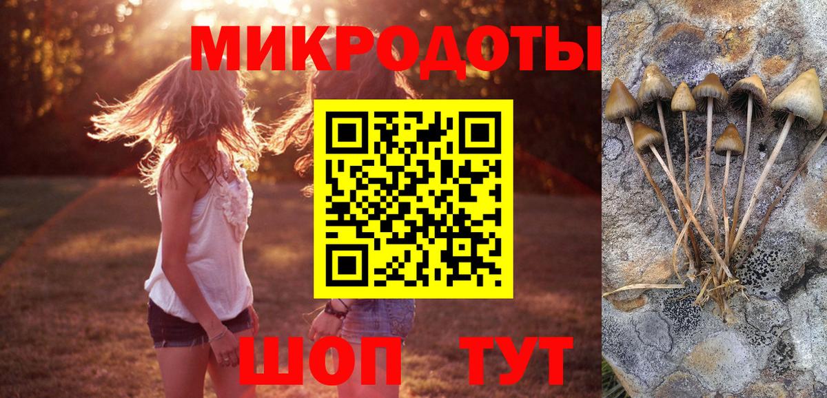 Галлюциногенные грибы Magic Shrooms  Вход с VPN  закладки  Новороссийск 