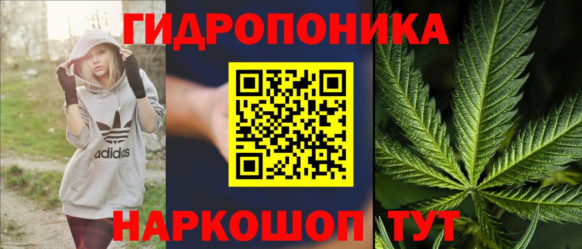Бошки марихуана план Новороссийск
